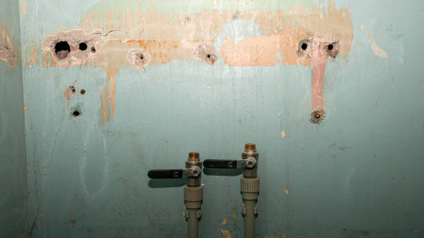 Local water damage restoration in Corona De Tucson, AZ